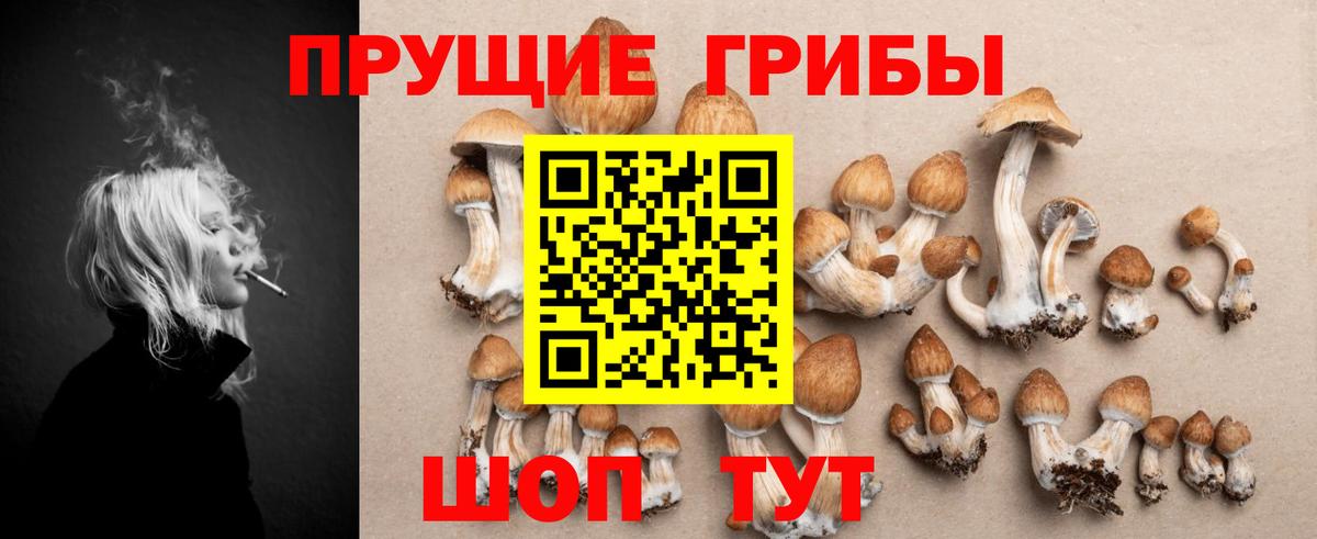 Псилоцибиновые грибы прущие грибы Чусовой